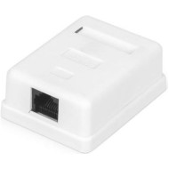 Розетка накладная RITAR RJ-45 Cat.6 UTP White (STR-8P8CRJ45/C6-1)