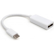 Адаптер VINGA USB-C - DisplayPort 0.15м White (VCPTCDP15)