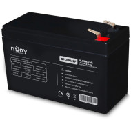 Аккумуляторная батарея NJOY GPL09122F (12В, 2.5Ач) (BTVACIUOCTA2FCN02B)