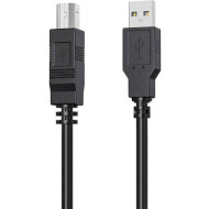 Кабель HP USB2.0 AM/BM 2м Black (DHC-PT100-2M)