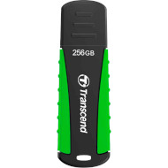 Флешка TRANSCEND JetFlash 810 USB3.1 256GB (TS256GJF810)