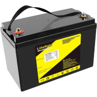 Акумуляторна батарея LIITOKALA LiFePO4 12V 100Ah (4S2P) (12В, 100Агод) (12V100AH(4S2P) LIFEPO4)