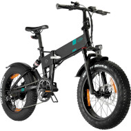 Гірський електровелосипед FIIDO M21 20" Black (250W)