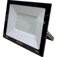 Прожектор LED LUMANO Standard Eco 100W 6000K