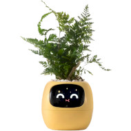 Умный горшок для растений IVY Smart Planter Tuya AI Yellow