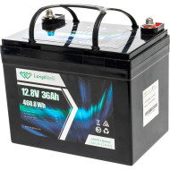 Акумуляторна батарея LONGTTECH LiFePO4 LAR1236-LT40-R32 (12.8В, 36Агод)
