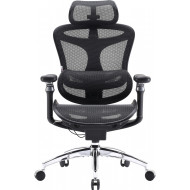 Кресло офисное SIHOO Doro C300 Pro Mesh Black