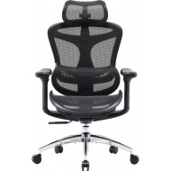 Кресло офисное SIHOO Doro C300L Mesh Black
