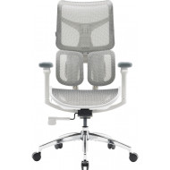 Кресло офисное SIHOO Doro S100 Mesh White