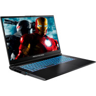 Ноутбук DREAM MACHINES RG5060-17 Black (RG5060-17UA21)