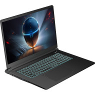 Ноутбук THUNDEROBOT 911 X17 Black (911X17-I7136H56C1Q165MB)