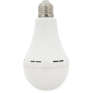 Лампа аккумуляторная LED ALMINA E27 30W 6400K 220V (DL-2030)