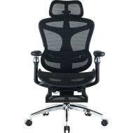 Кресло офисное SIHOO Doro C300 Pro with footrest Mesh Black