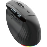 Вертикальная мышь ACER Smart Fit Black (HP.EXPBG.020)