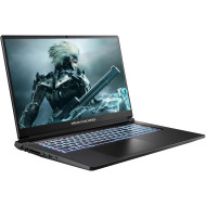Ноутбук DREAM MACHINES RT5050-17 Black (RT5050-17UA24)
