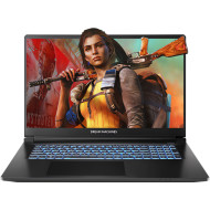 Ноутбук DREAM MACHINES RT5060-17 Black (RT5060-17UA28)