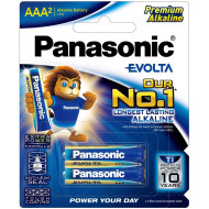 Батарейка PANASONIC Evolta Evolta AAA 2шт/уп (LR03EG/2B)