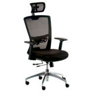 Крісло офісне SPECIAL4YOU Dawn Black (E5500)