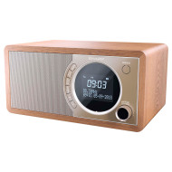Радиоприёмник SHARP DR-450 Digital Radio Brown