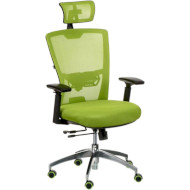 Крісло офісне SPECIAL4YOU Dawn Green (E6125)