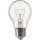 Лампочка PHILIPS Standard A-Shape Clear A55 E27 100W 2700K 220V (926000004012)