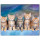 Килимок для миші VOLTRONIC Five Cats 300x250 (YT-CAT30)