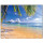 Килимок для миші VOLTRONIC Tropical Palm 300x250 (YT-CAT7)