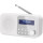 Портативный радиоприёмник SHARP DR-P420 Snowy White