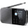 Портативный радиоприёмник SHARP DR-P520 Storm Gray