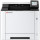 Принтер KYOCERA Ecosys PA2101cx (110C253NL0)