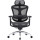 Кресло офисное SIHOO Doro C300 Pro Mesh Black