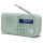 Портативный радиоприёмник SHARP DR-P420 Tokyo Portable Digital Radio Aquamarine Green