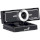 Веб-камера GENIUS WideCam F100 Black (32200213101)