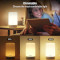 Розумний світильник GOSUND Smart Table Lamp