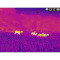 Тепловизионный монокуляр AGM Taipan TM15-384 (3092451012TA51)