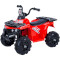 Детский электромобиль-квадроцикл BABYHIT BRJ-3201 Red