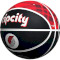 Мяч баскетбольный WILSON NBA Team City Edition Portland Trail Blazers Size 7 (WZ4003925XB7)