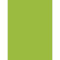 Офісний кольоровий папір MONDI IQ Color Intensive Bright Green A4 160г/м² 250арк (MA42/A4/160/IQ)