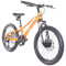 Велосипед дитячий TRINX Seals 3.0 20" Orange/Black/Blue