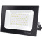 Прожектор LED TITANUM TLF506 50W 6000K