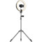 Набор блогера TAOTRONICS 12" Selfie Ring Light with 78'' Tripod Stand (TT-CL025)