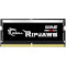 Модуль памяти G.SKILL Ripjaws SO-DIMM DDR5 4800MHz 16GB (F5-4800S3434A16GX1-RS)