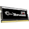 Модуль памяти G.SKILL Ripjaws SO-DIMM DDR5 4800MHz 32GB (F5-4800S3838A32GX1-RS)
