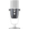 Микрофон для стриминга/подкастов AKG Ara C22 (AKG-C22-USB)