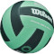 Мяч для пляжного волейбола WILSON Super Soft Play Size 5 Green/Forest Green (WV4006003XBOF)