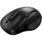 Мышь GENIUS Ergo 8200S Black (31030029400)