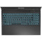 Ноутбук DREAM MACHINES RG3050-15 Black (RG3050-15UA45)