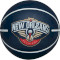 Міні-м'яч баскетбольний для дриблінгу WILSON NBA Dribbler New Orleans Pelicans (WTB1100PDQNO)