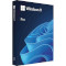 Операционная система MICROSOFT Windows 11 Pro 64-bit English Box non-EU/EFTA (HAV-00164)