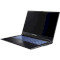 Ноутбук DREAM MACHINES RG3050-17 Black (RG3050-17UA35)